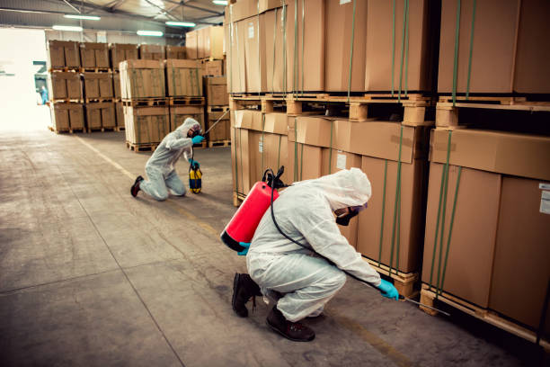 Wildlife Control Services in Selma, CA