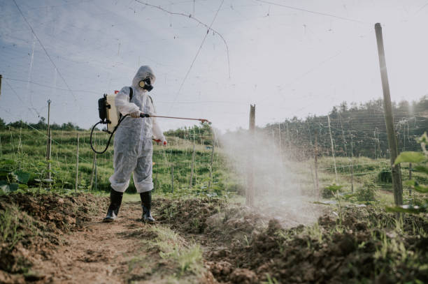 Best Best Pest Control Companies  in Selma, CA