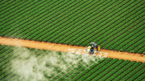 Best Pest Control Cost  in Selma, CA