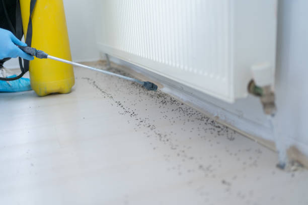 Best Pest Prevention Services  in Selma, CA