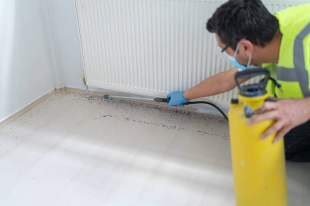 Best Pest Removal Services  in Selma, CA