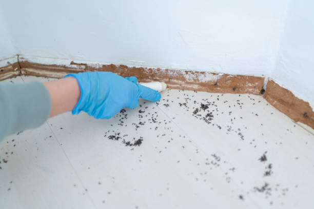 Pest Control Cost in Selma, CA