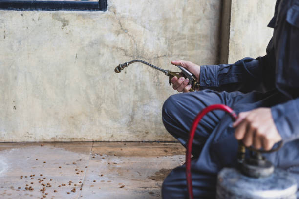 Best Affordable Pest Control Services  in Selma, CA